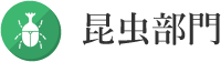 昆虫部門